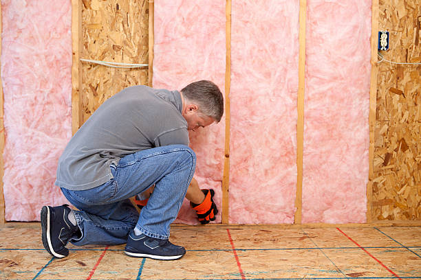 Best Eco-Friendly Insulation in Lewisburg, PA
