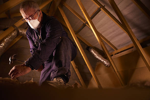 Best Insulation Maintenance and Repair in Lewisburg, PA